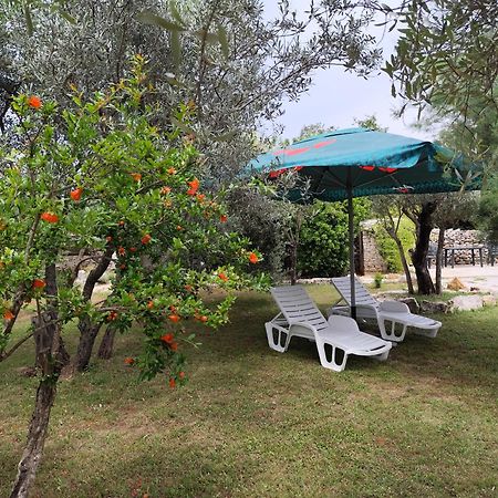 파자나 Marti'S House In The Olive Grove 아파트 외부 사진