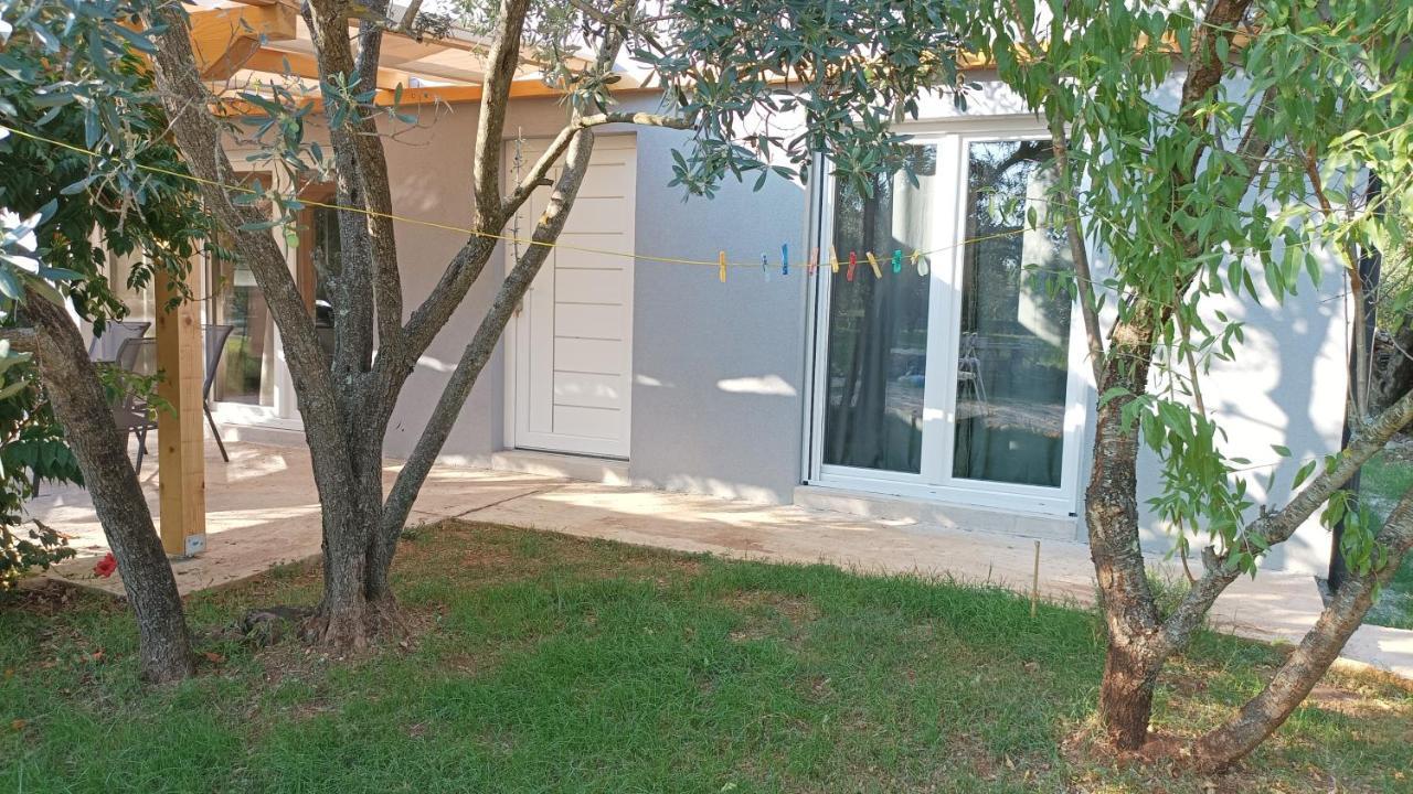 파자나 Marti'S House In The Olive Grove 아파트 외부 사진