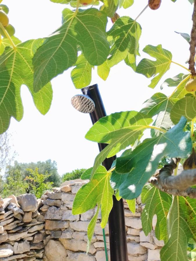 파자나 Marti'S House In The Olive Grove 아파트 외부 사진