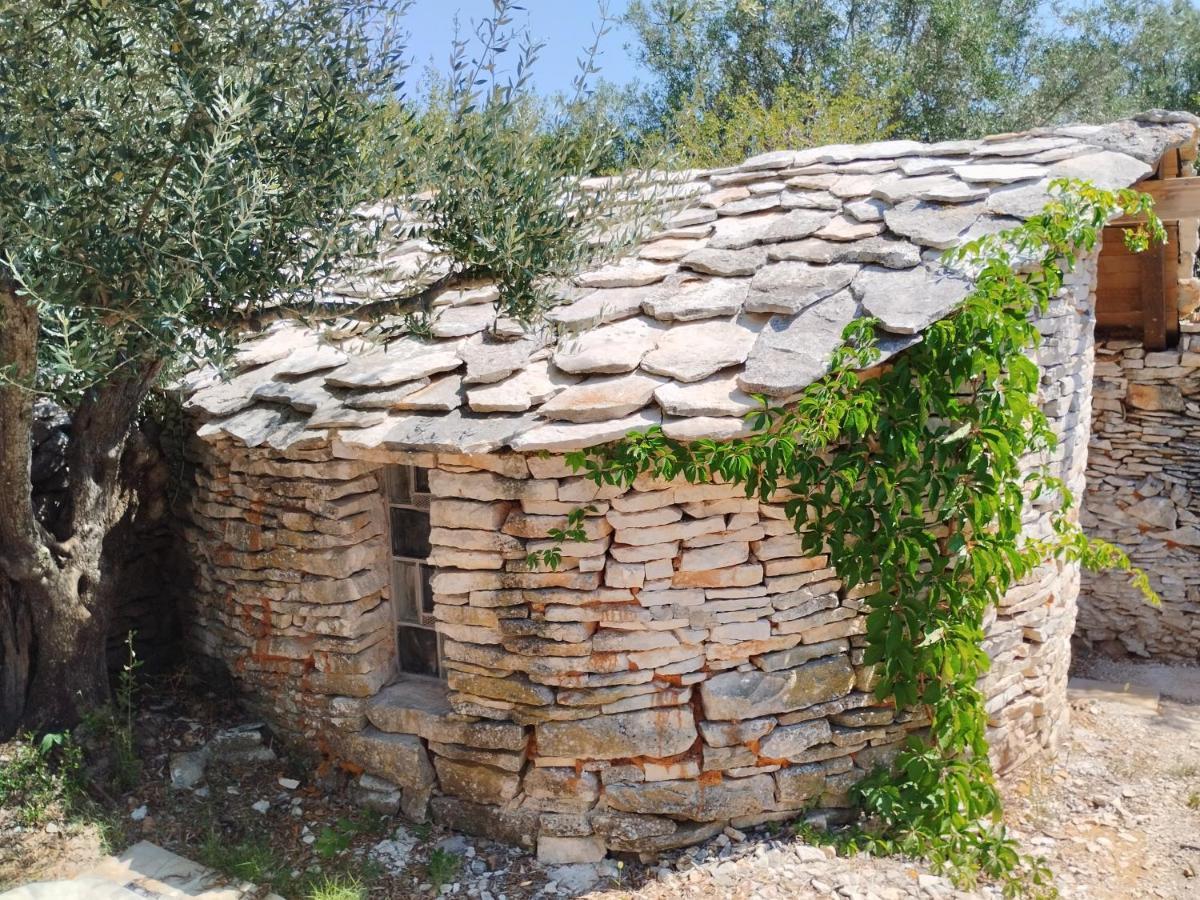 파자나 Marti'S House In The Olive Grove 아파트 외부 사진