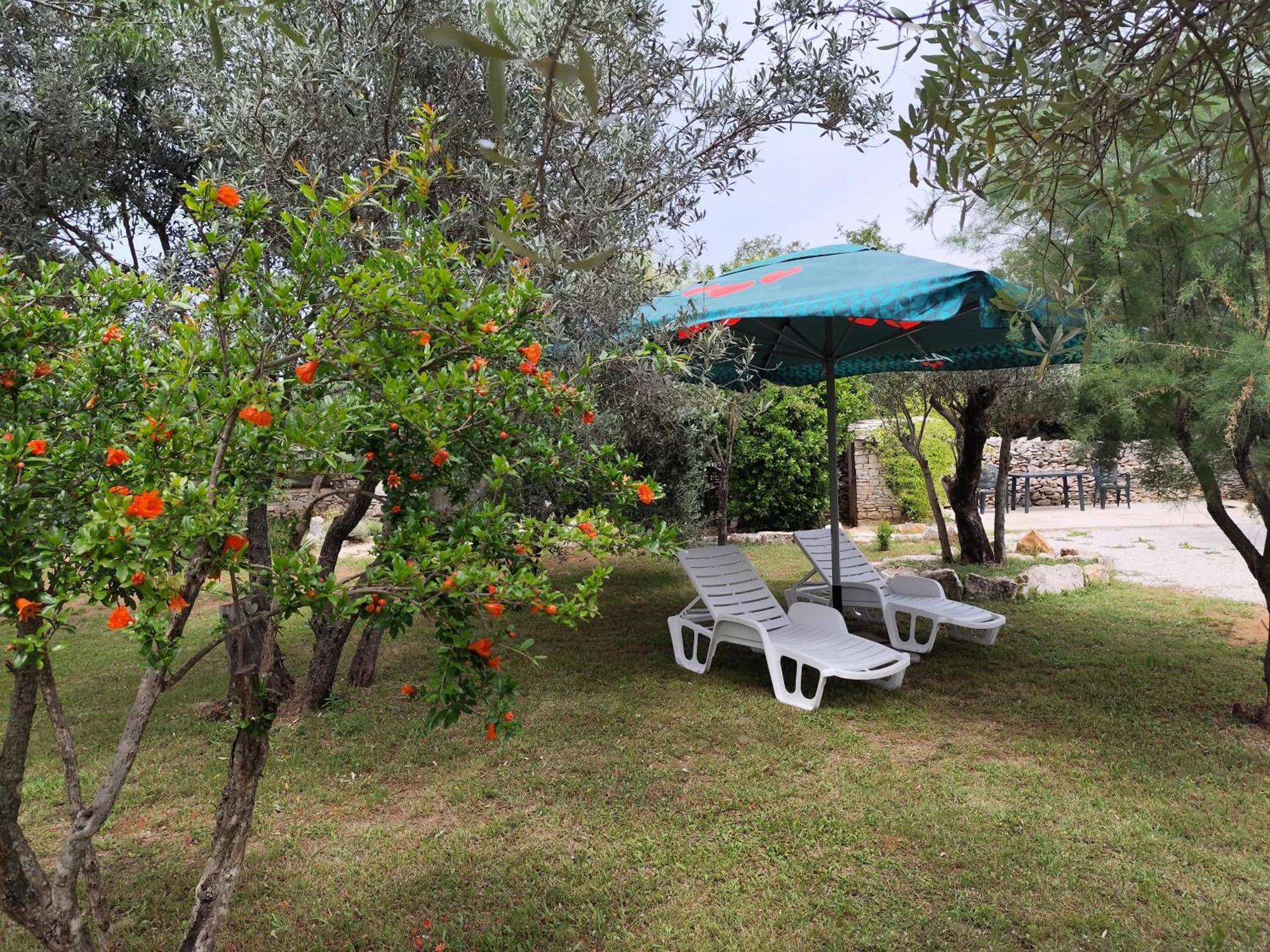 파자나 Marti'S House In The Olive Grove 아파트 외부 사진