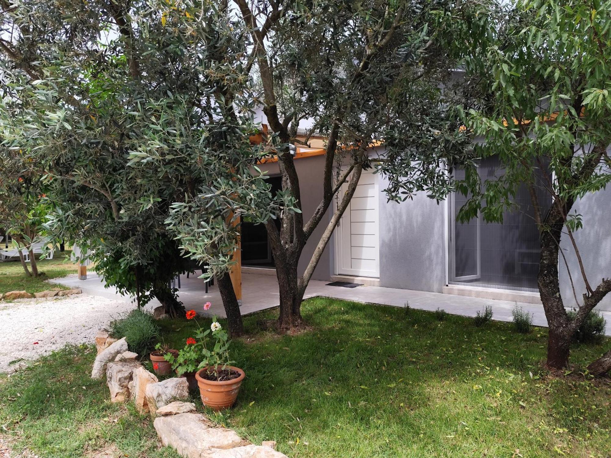 파자나 Marti'S House In The Olive Grove 아파트 외부 사진
