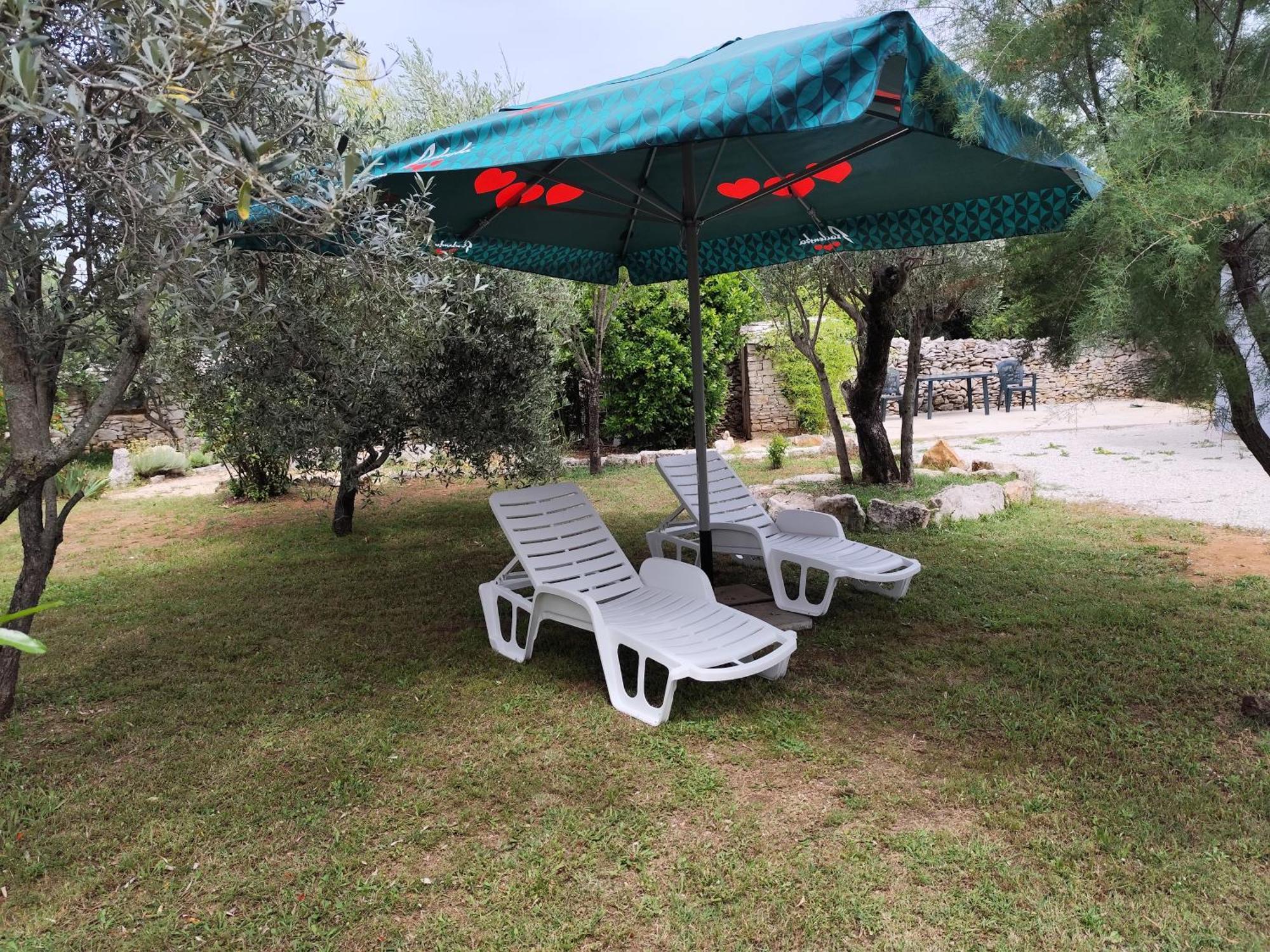 파자나 Marti'S House In The Olive Grove 아파트 외부 사진