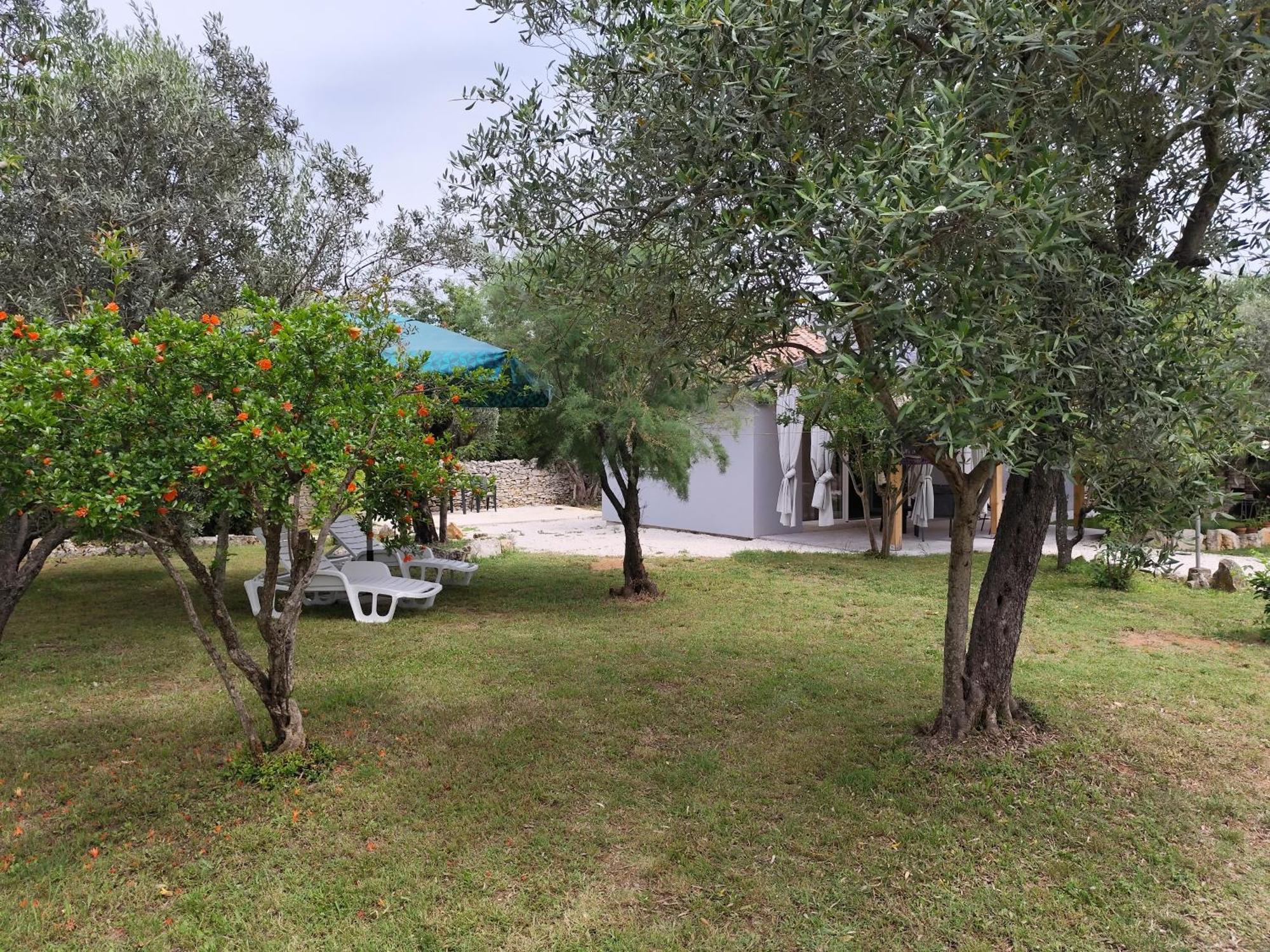 파자나 Marti'S House In The Olive Grove 아파트 외부 사진